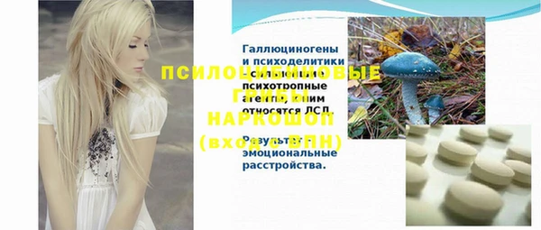 молекула духа Бородино