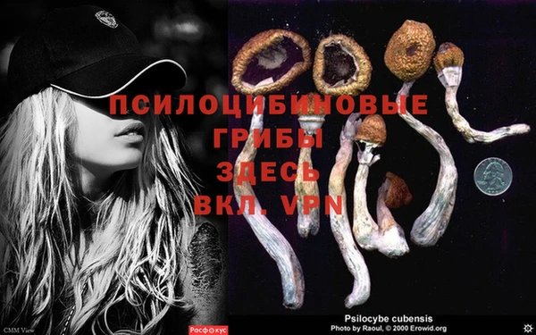 молекула духа Бородино