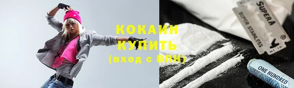 молекула духа Бородино