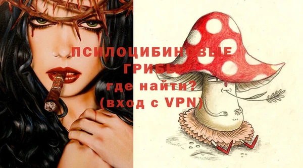 молекула духа Бородино