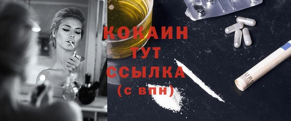 молекула духа Бородино