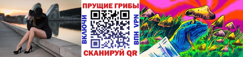 Псилоцибиновые грибы Psilocybe что такое наркотик Козельск