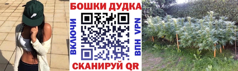 Шишки марихуана OG Kush  что такое   Козельск 